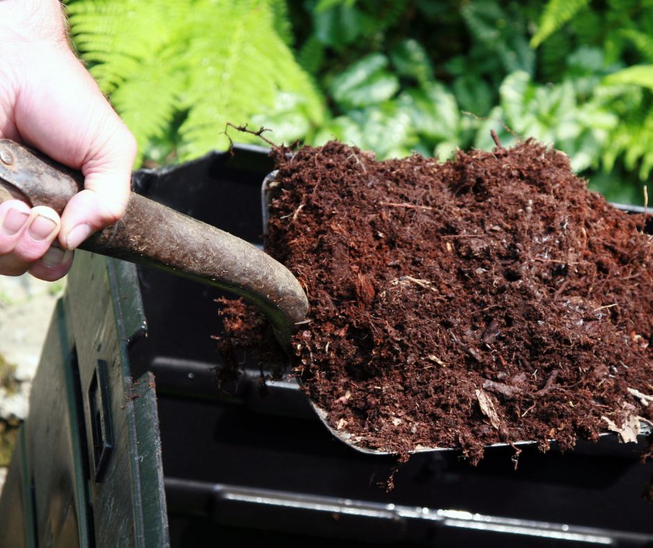 Spade filled with compost