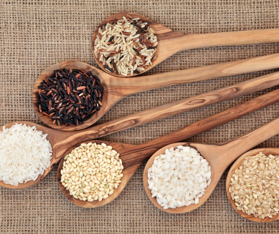 Various types of rice grains