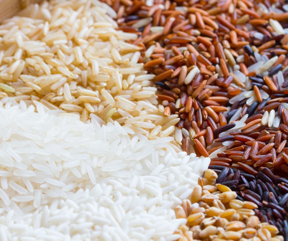 Different rice varieties