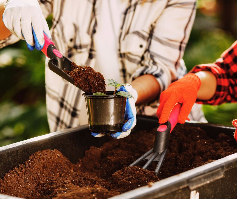 How to use compost