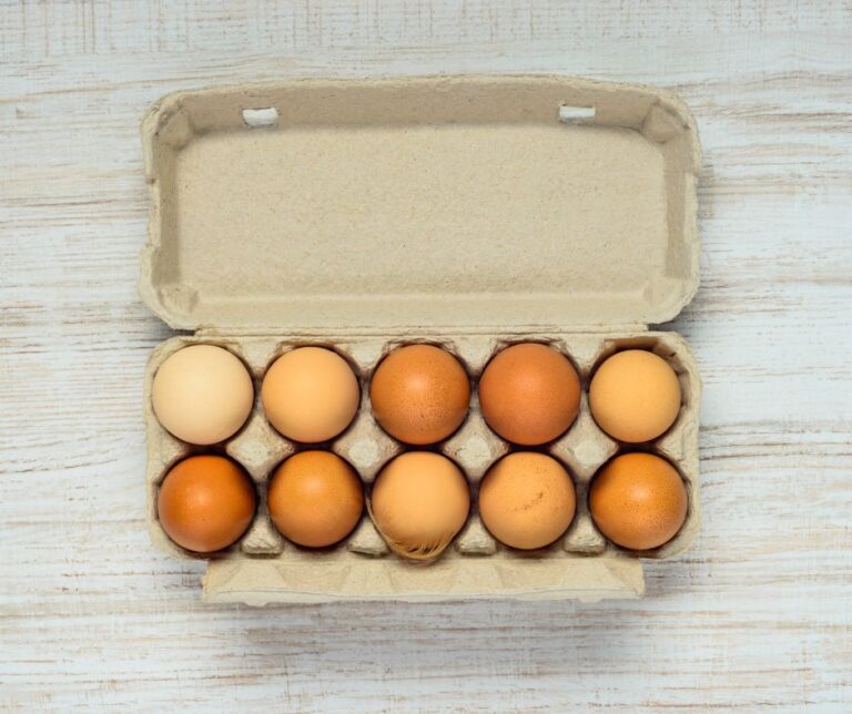 Are Egg Cartons Compostable? Here’s what you NEED to know