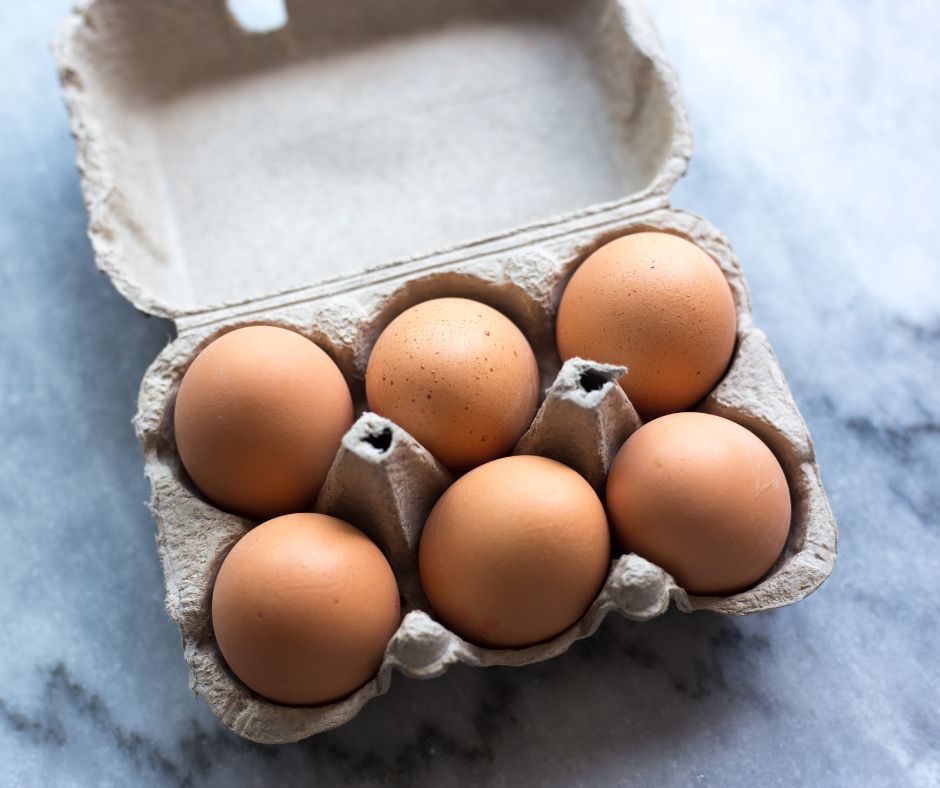 Paper Pulp Egg Carton