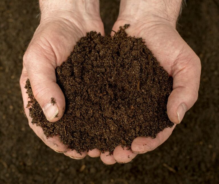 From Scraps to Soil: How Long Does Compost Take & Tips to Expedite the Process