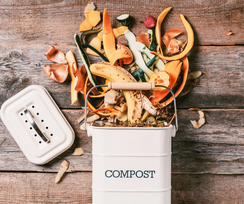 Compost Bin