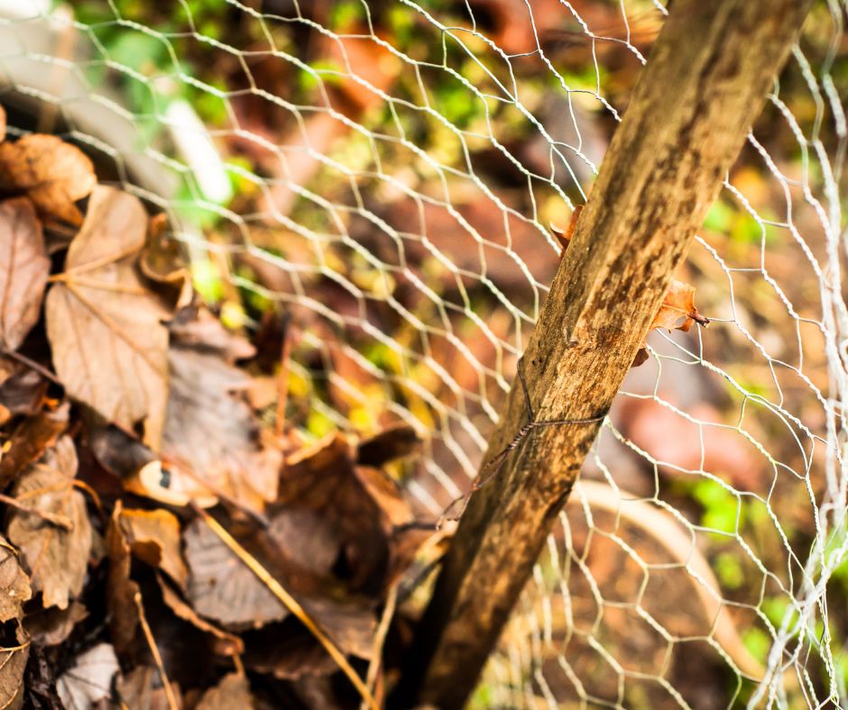 Cylinder Wire compost bin