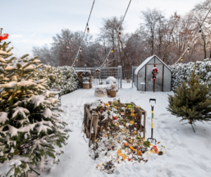 Can You Compost in Winter? Yes, Here’s How to Master Cold-Weather Composting!