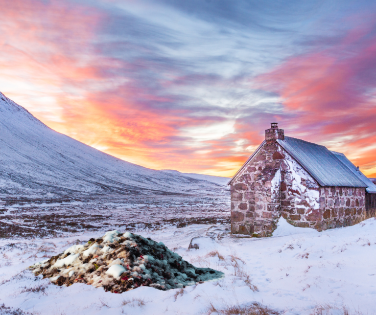 Composting in the Winter: Myth or Magic?