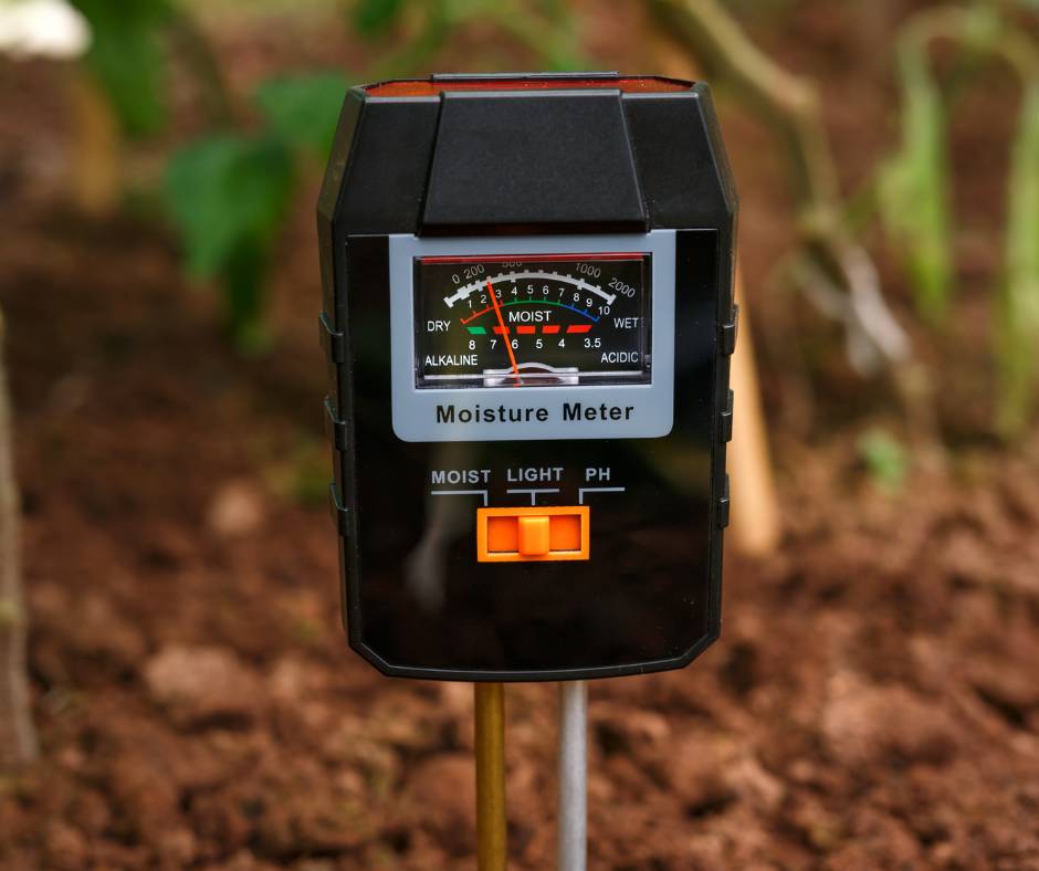Moisture Meter